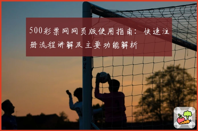 500彩票网网页版使用指南：快速注册流程讲解及主要功能解析
