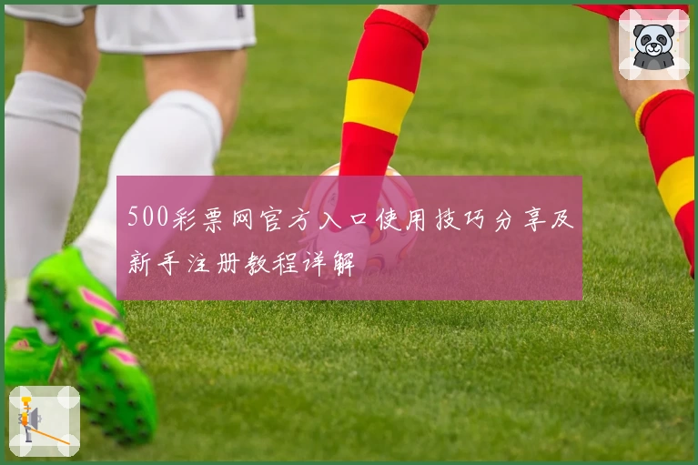 500彩票网官方入口使用技巧分享及新手注册教程详解